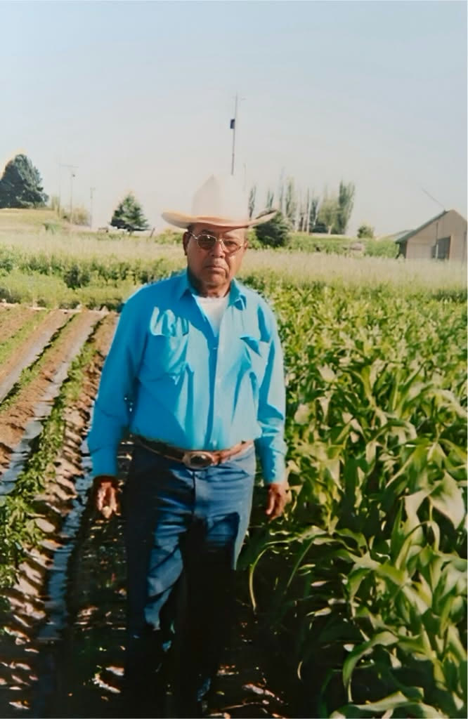 O avô de Isaias em pé entre fileiras de cultivo, de chapéu, óculos e camisa azul de manga comprida, ao lado de pés de milho.